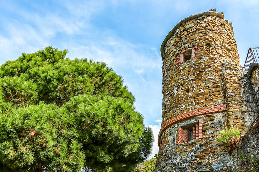 Zu erkennen ist ein runder, historischer Steinturm mit kleinen Fenstern und Backsteinelementen. Daneben wächst eine große, dicht verzweigte Pinie, die dem Bauwerk einen mediterranen Rahmen gibt. Riomaggiore Castello
