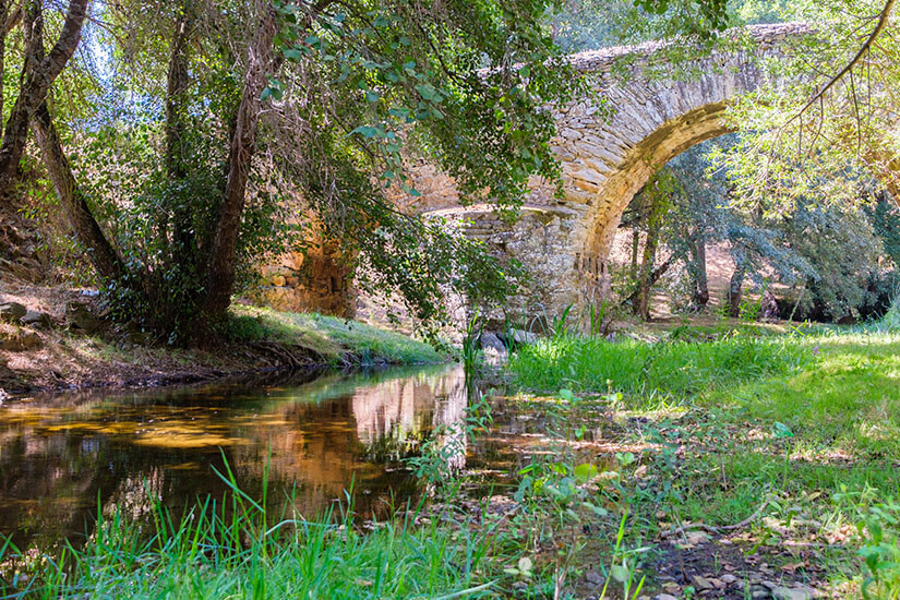 Über einen ruhigen, kleinen Bach spannt sich eine alte, moosbewachsene Steinbogenbrücke, eingerahmt von dichten Bäumen und saftig grünem Gras. Top Tagestrips Porto Douro