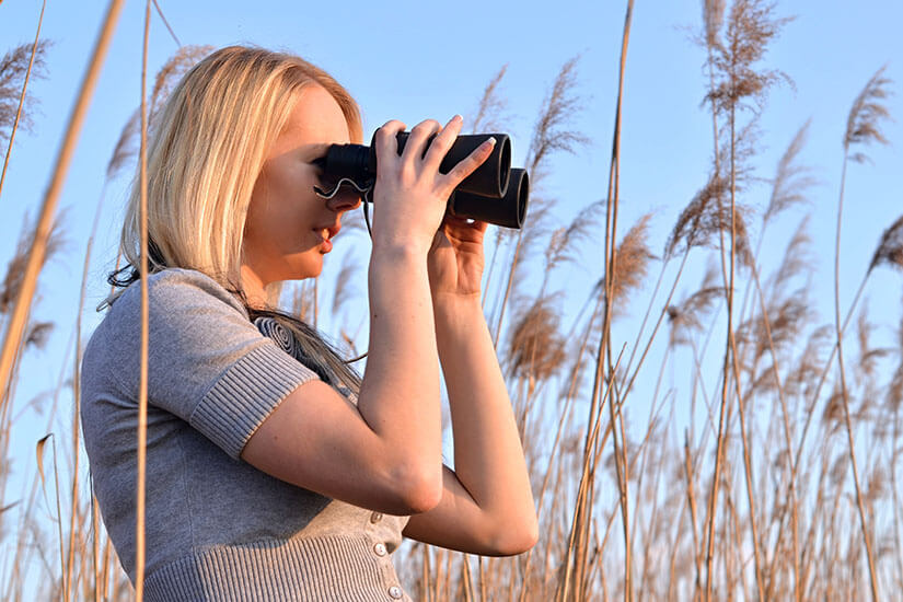 Inmitten von hohem, goldbraunem Schilf blickt eine blonde Frau in grauem Strickoberteil konzentriert durch ein Fernglas in die Ferne. Wildtiere schuetzen Urlaub Abstand