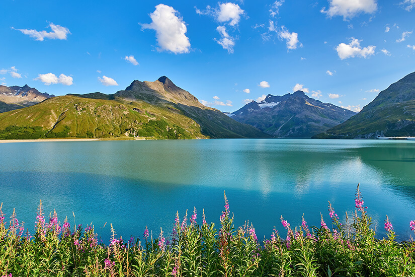 Zu erkennen ist ein türkisblauer Bergsee, umgeben von imposanten Gipfeln und grünen Berghängen. Im Vordergrund wachsen leuchtend rosa Wildblumen, während sich darüber ein klarer blauer Himmel mit einzelnen Wolken spannt. Tirol See