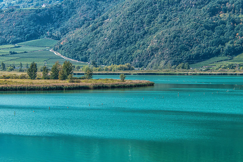 Das Wasser des Kalterer Sees leuchtet türkisblauen vor grünen Hügeln. Tirol Badeseen Kalterer