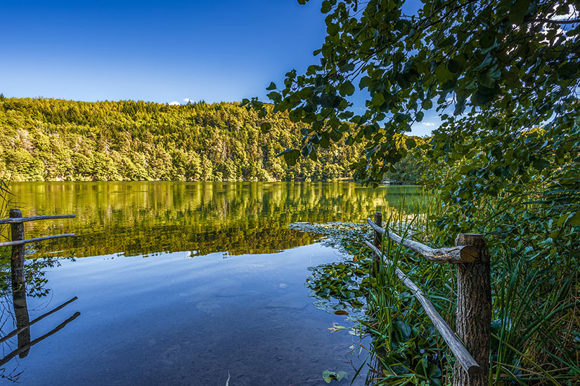 Dichte grüne Vegetation umgibt den Kleinen Montiggler See. Tirol Badeseen kleiner Montiggler