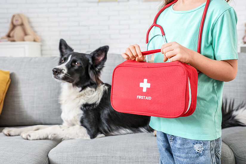 Ein Kind im türkisfarbenen T-Shirt und Jeans steht im Vordergrund und hält eine rote Erste-Hilfe-Tasche mit der Aufschrift „FIRSTAID“. Um den Hals trägt es ein Spielzeug-Stethoskop. Im Hintergrund liegt ein schwarz-weißer Border Collie wachsam auf einem grauen Sofa. Reiseapotheke Hunde Apotheke