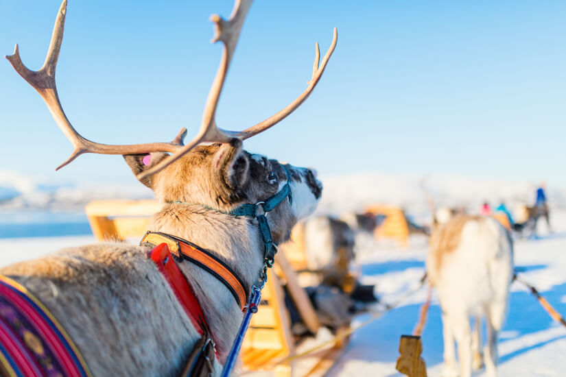 Lappland