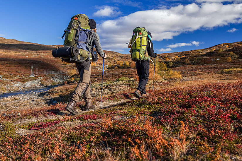 Mit großen Trekkingrucksäcken, Isomatten und Wanderstöcken ziehen zwei Wanderer über einen schmalen Pfad durch die herbstliche Fjelllandschaft Finnlands. Packliste Finnland Wandern