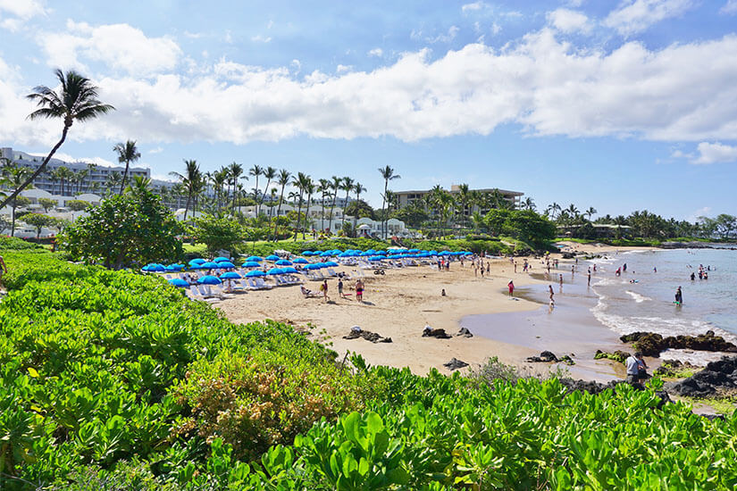 Ein heller Sandstrand umrahmt von grünen Palmen ist zu sehen. Blaue Liegestühle stehen im Sand. Im Hintergrund ist ein Resort zu sehen. White Lotus Drehorte Wailea