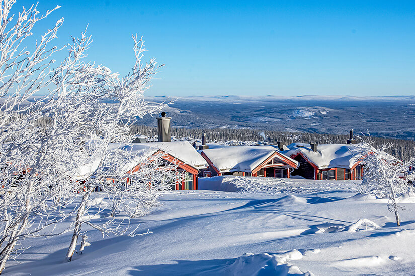 Verschneite Holzhütten mit dicht mit Schnee bedeckten Dächern stehen im Skigebiet Trysil unter strahlend blauem Himmel. Im Vordergrund ragen weiß gefrorene Sträucher aus der tiefen Schneedecke, während sich im Hintergrund eine weite Landschaft erstreckt. Skigebiete Norwegen Trysil