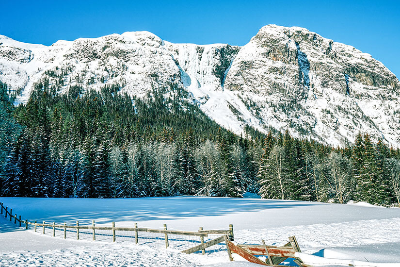 Ein hölzerner Zaun verläuft im Vordergrund über eine tief verschneite Ebene im Skigebiet Hemsedal. Dahinter erstreckt sich ein dicht verschneiter Nadelwald am Fuß imponierender, schneebedeckter Felsmassive unter einem strahlend blauen Himmel. Skigebiete Norwegen Hemsedal