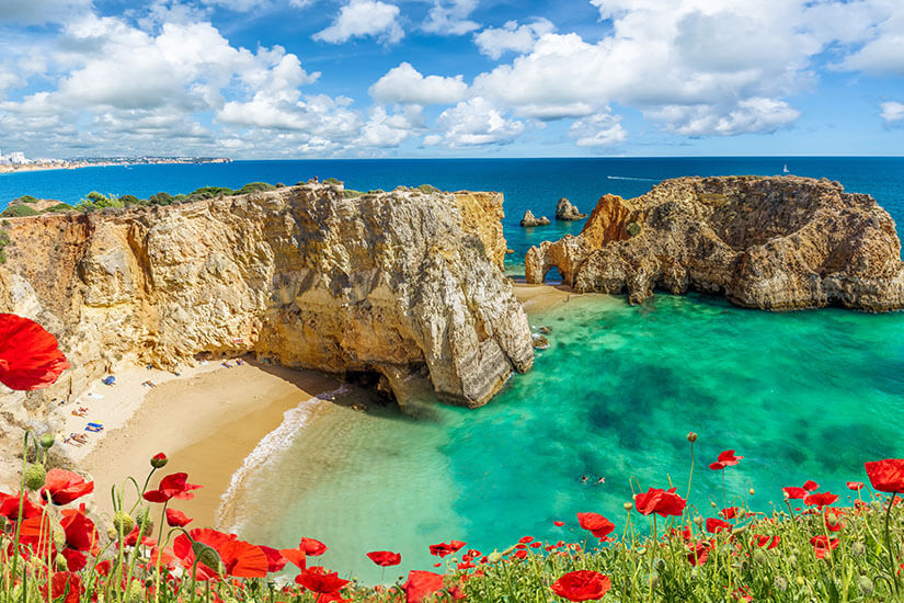 Rote Mohnblumen blühen im Vordergrund auf einer Klippe, die den Blick auf eine malerische Bucht mit goldenem Sandstrand und türkisblauem Wasser an der Algarve freigibt. Im Meer ragen markante Felsformationen und Klippen auf. unter 500 Euro Algarve Pauschalreisen unter 500 Euro Algarve