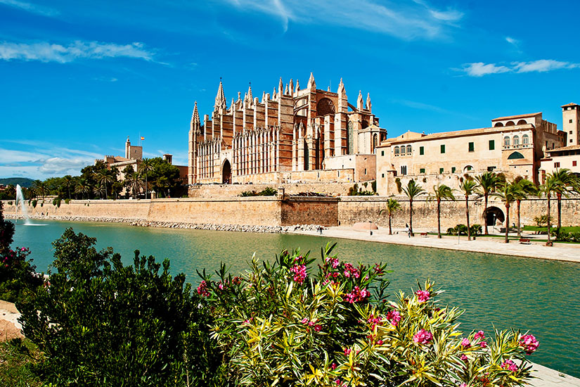 Die imposante Kathedrale von Mallorca erhebt sich majestätisch über einer Ufermauer mit einem künstlichen See davor, während im Vordergrund blühende Sträucher unter einem blauen Himmel zu sehen sind. Pauschalreisen unter 500 Euro Mallorca