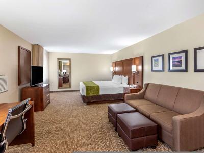 Hotel Comfort Inn & Suites Greeley - Bild 5